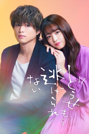 Постер дорамы Я больше не могу убегать