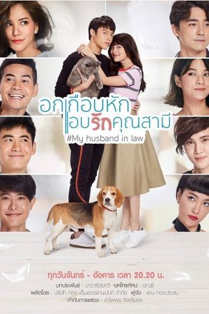 Постер дорамы Мой законный муж