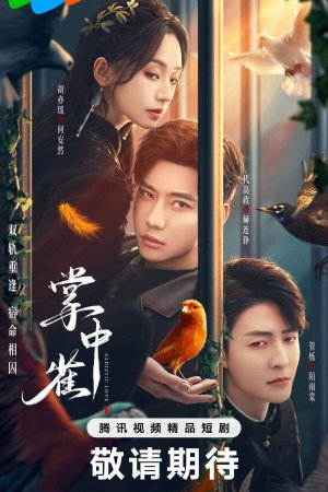 Постер дорамы Птица в ладони