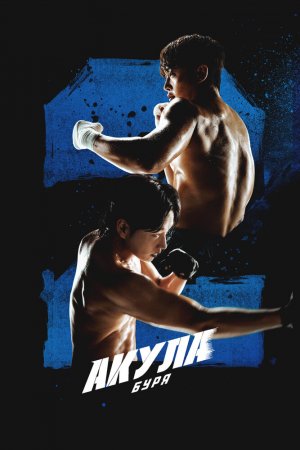 Постер дорамы Акула 2: Шторм