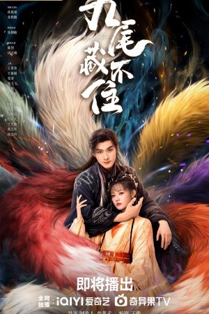 Турецкий сериал Девять хвостов не спрячешь