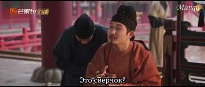 Кадр Цветущий пион