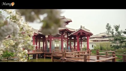 Кадр Цветущий пион