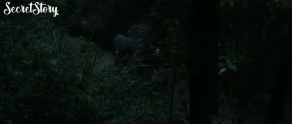 Кадр Нефритовая чайная косточка