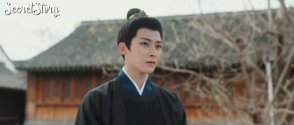 Кадр Нефритовая чайная косточка