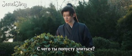 Кадр Нефритовая чайная косточка